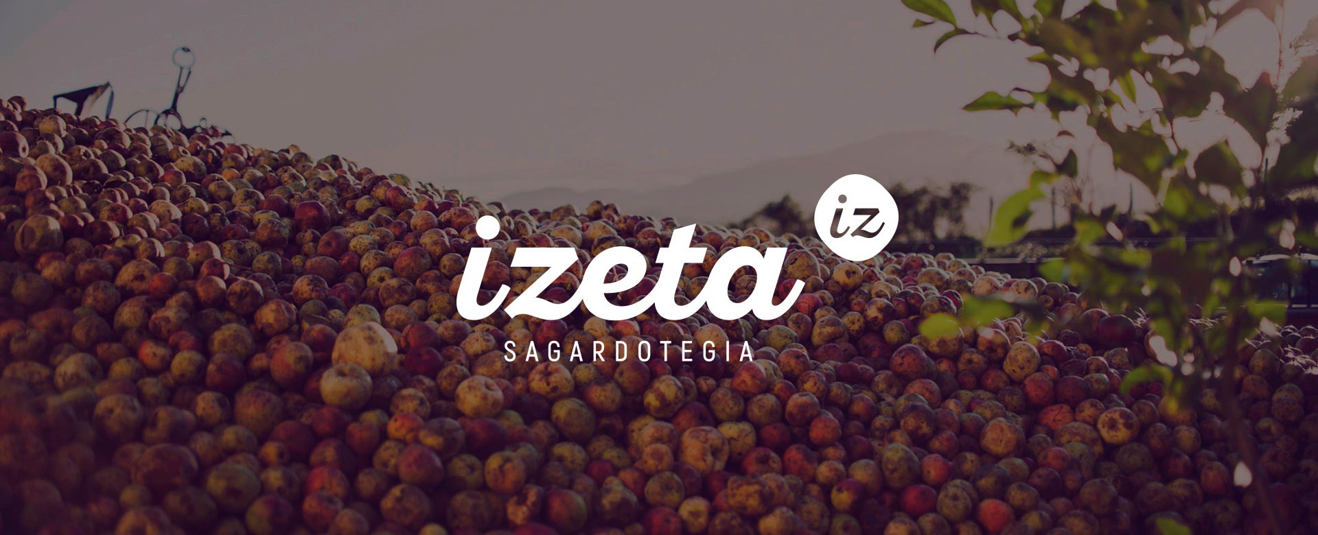 2017_IZETA_TheNiu_2-1